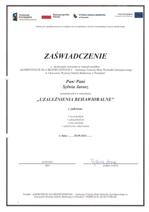 Certyfikat Image0001